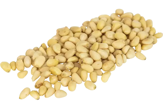 Pijnboompitten 1kg kist 8 stuks